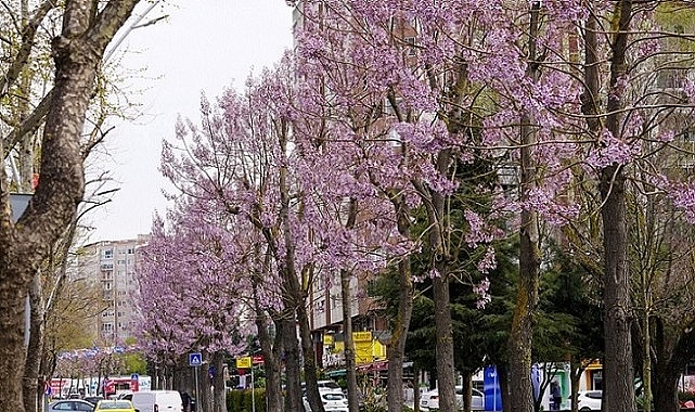 Beylikdüzü’nde Bahar Mesaisi Başladı