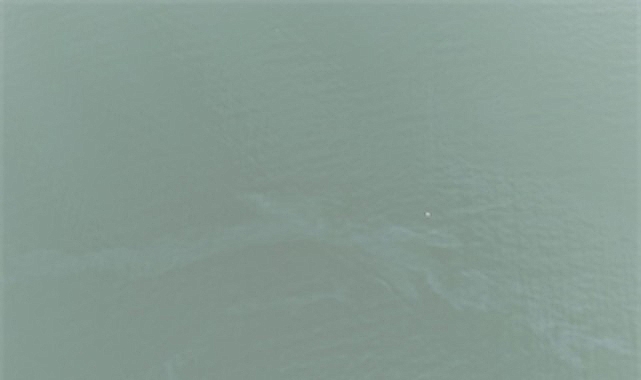 İzmir Körfezi’nde kirlilik alarmı: Aynı tehdit 11. kez görüldü