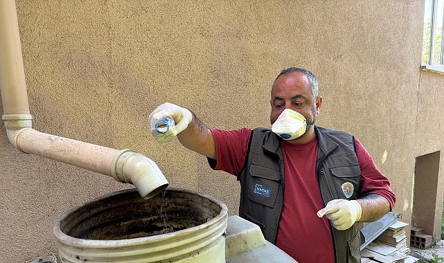 Maltepe’de sivrisinek mücadelesi erken başladı