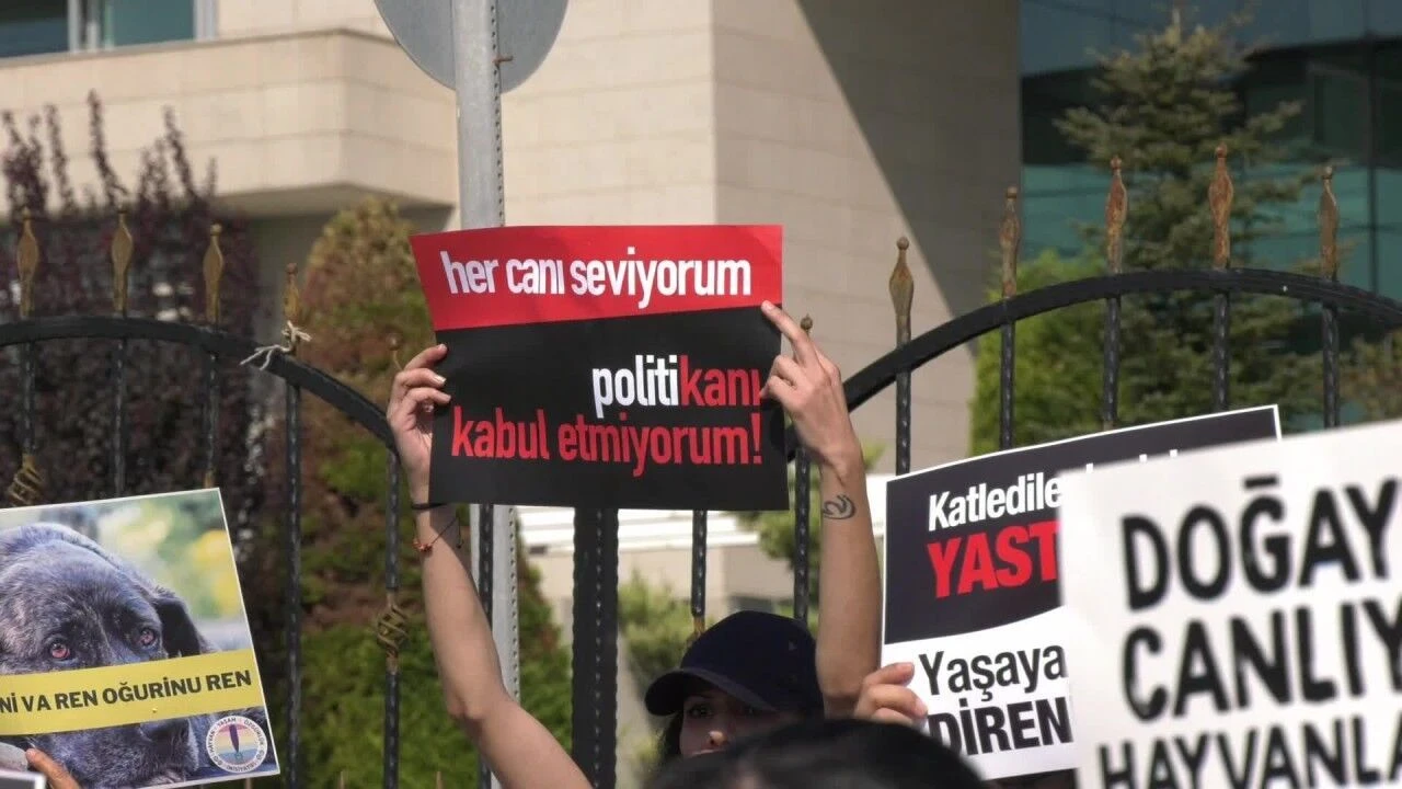 Bir Canlının Sokağı Olmaz, Yaşam Hakkı Olur